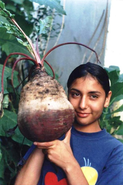 Verduras gigantes